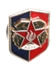 Значок "ВДПО" Металл, эмаль СССР, 1960-е гг - Всероссийское Добровольное Пожарное Общество инфо 3088j.